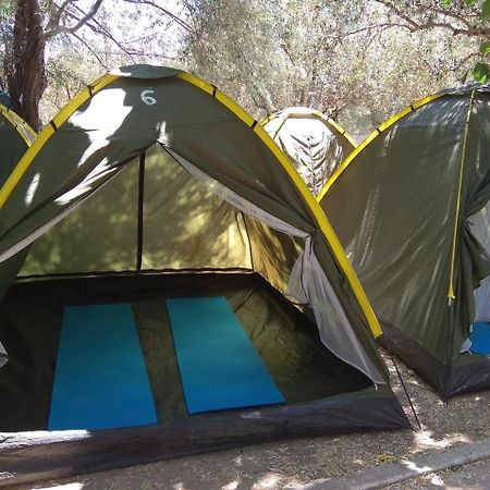 Camping Koula 호텔 Páros 외부 사진